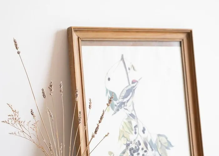 Гостевой дом Casa Da Serra