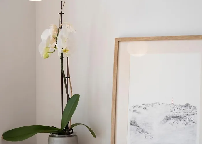 Гостевой дом Casa Da Serra Буаркуш